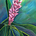 Pink Ginger Lily